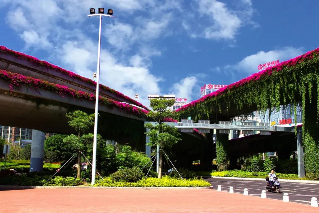 1595311579928525.jpg 1595311579928525.jpg