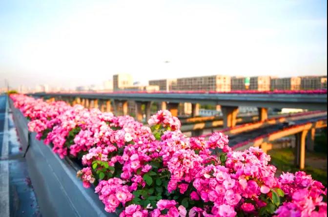 1595311624278914.jpg 1595311624278914.jpg