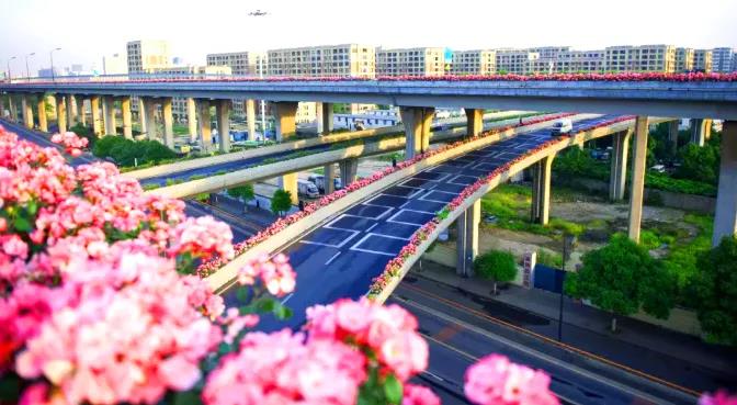 1595311640967145.jpg 1595311640967145.jpg