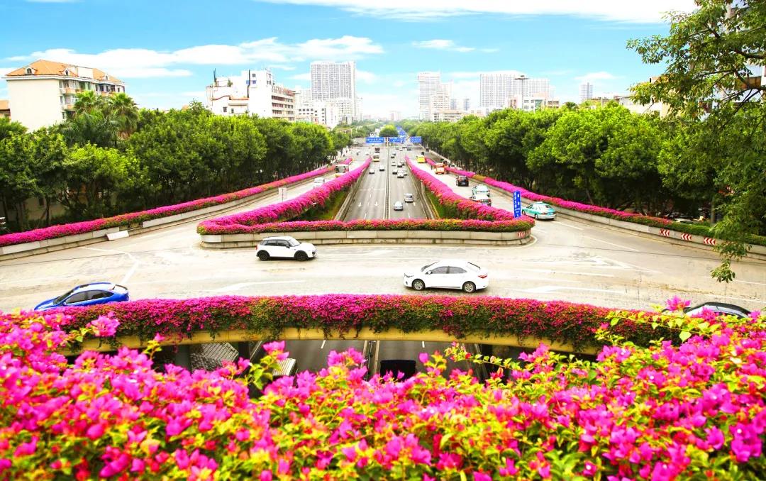 1595311663927996.jpg 1595311663927996.jpg