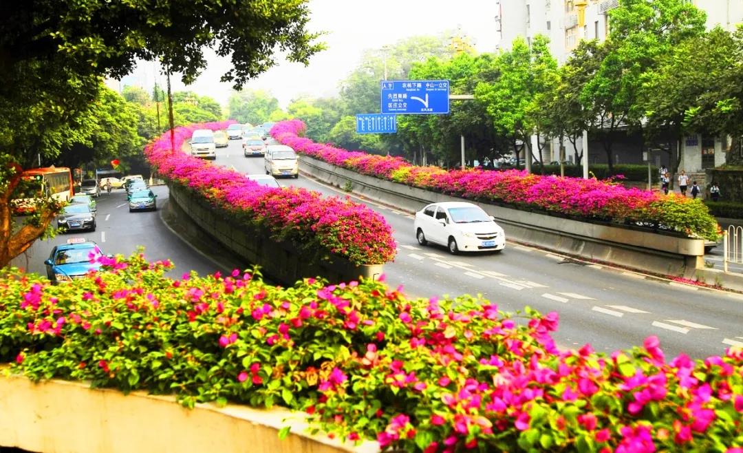 1595311793556522.jpg 1595311793556522.jpg