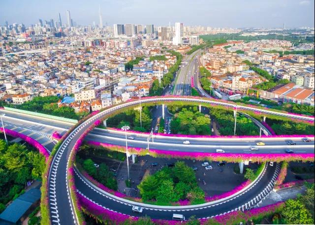 1595311829675142.jpg 1595311829675142.jpg