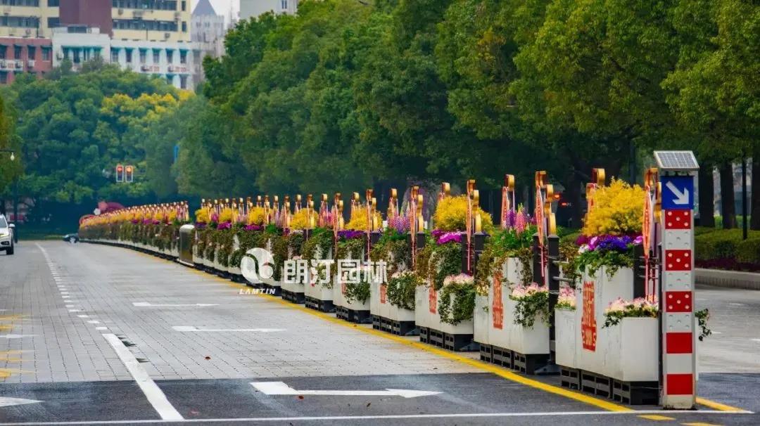 1595319852159025.jpg 1595319852159025.jpg