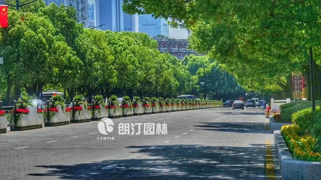 1595319884436295.jpg 1595319884436295.jpg