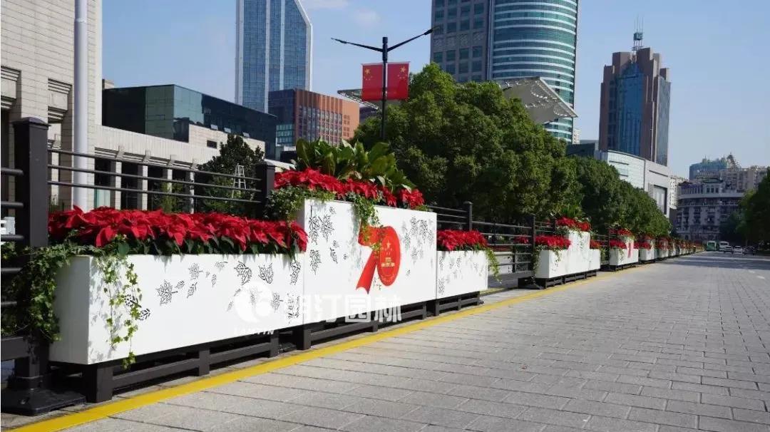 1595319898302733.jpg 1595319898302733.jpg