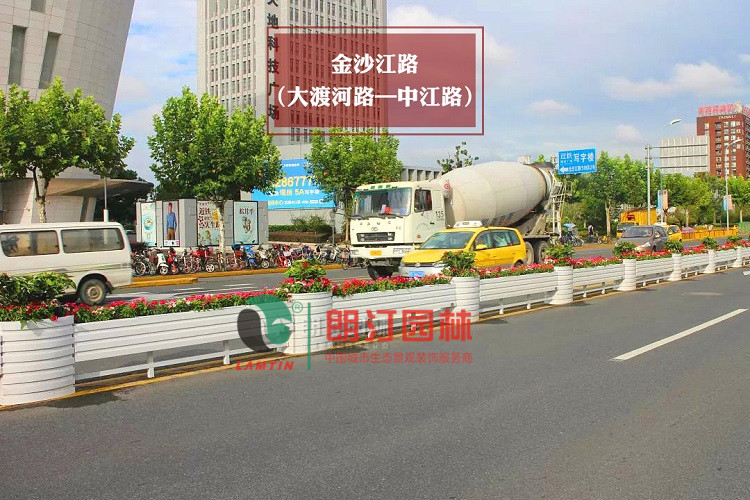 1595398146890383.jpg 1595398146890383.jpg