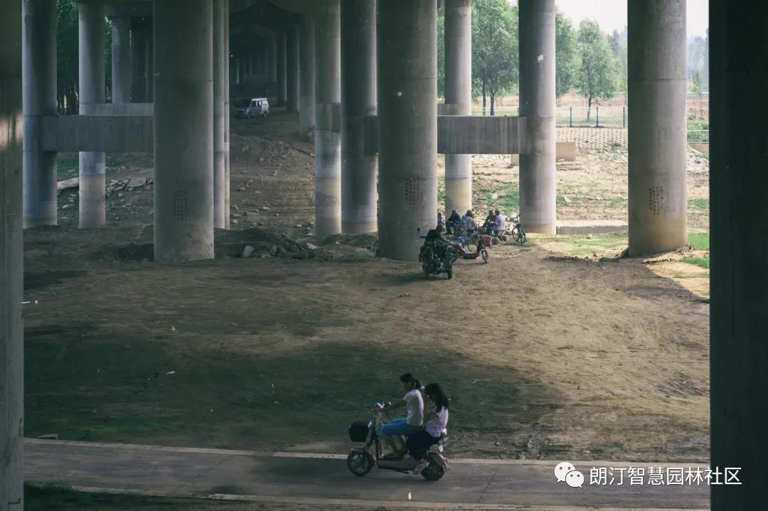 1595406768822006.jpg 1595406768822006.jpg