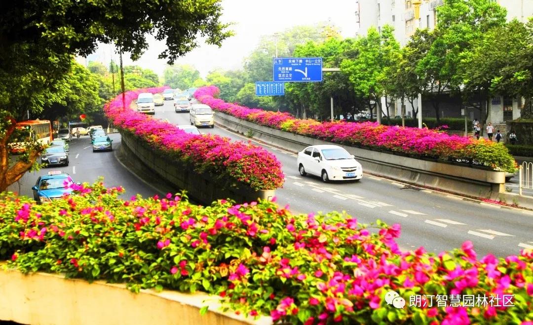 1595406790488587.jpg 1595406790488587.jpg