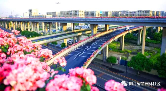 1595406809179099.jpg 1595406809179099.jpg