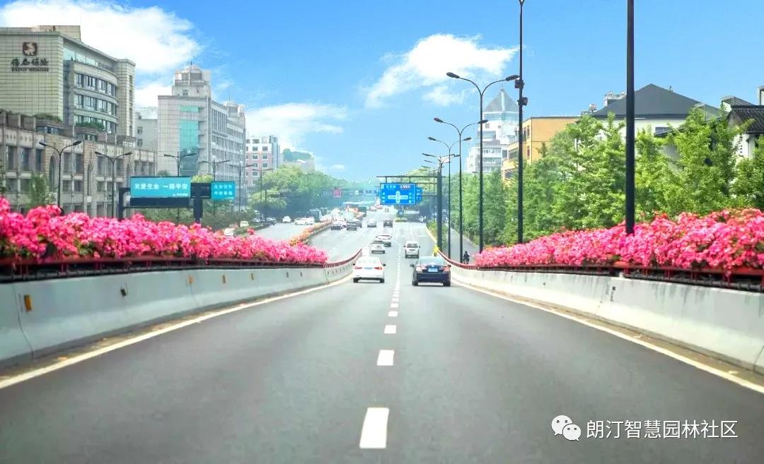 1595406873471351.jpg 1595406873471351.jpg