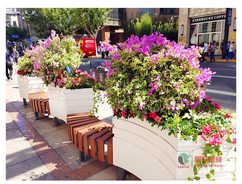 1595581020300447.jpg 1595581020300447.jpg