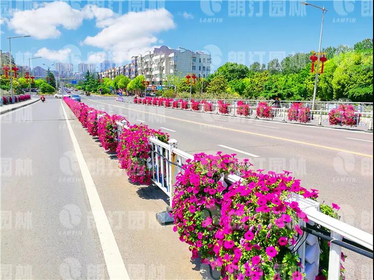 1595581839301092.jpg 1595581839301092.jpg