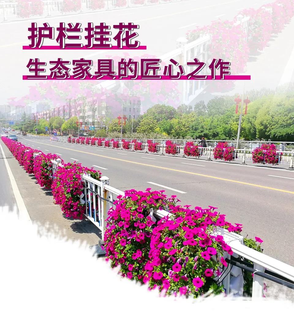 1595581922142510.jpg 1595581922142510.jpg