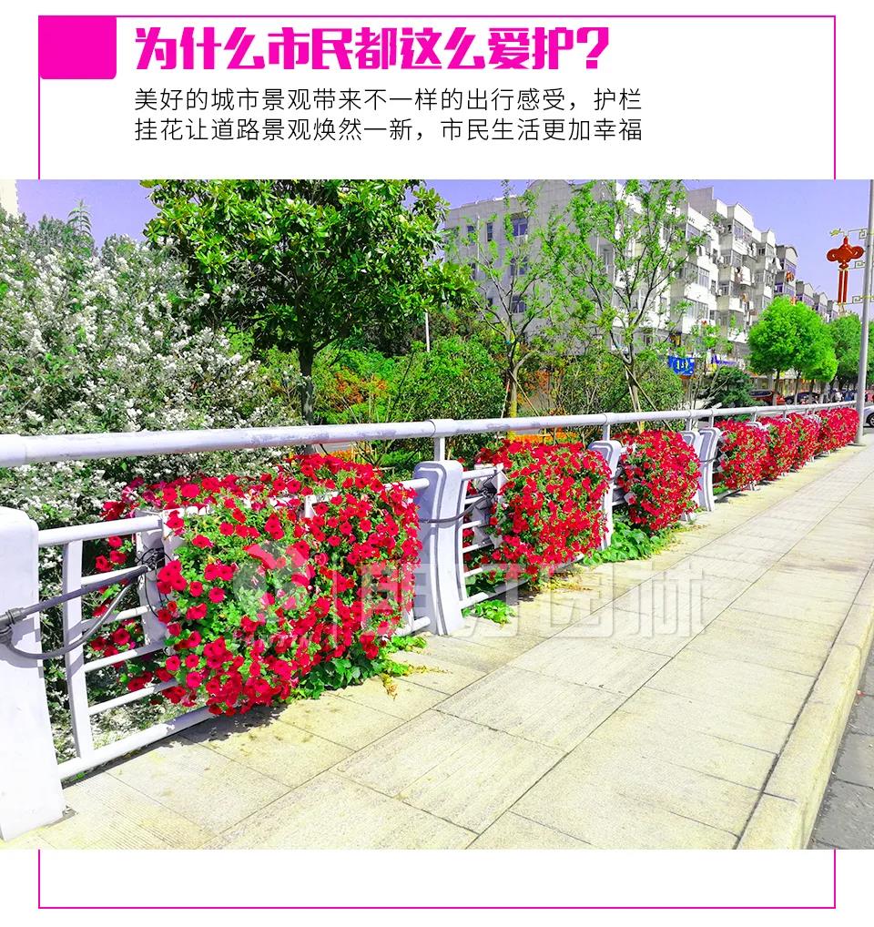 1595581966563897.jpg 1595581966563897.jpg