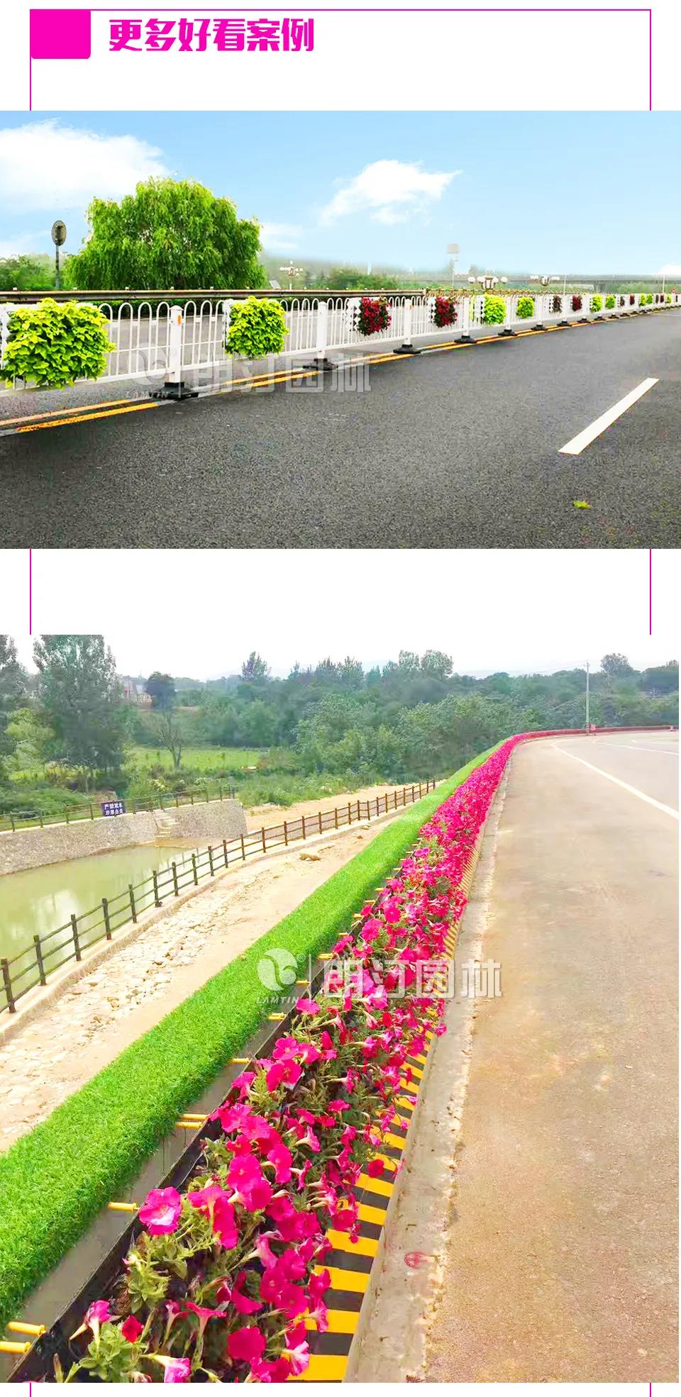 1595581992621876.jpg 1595581992621876.jpg