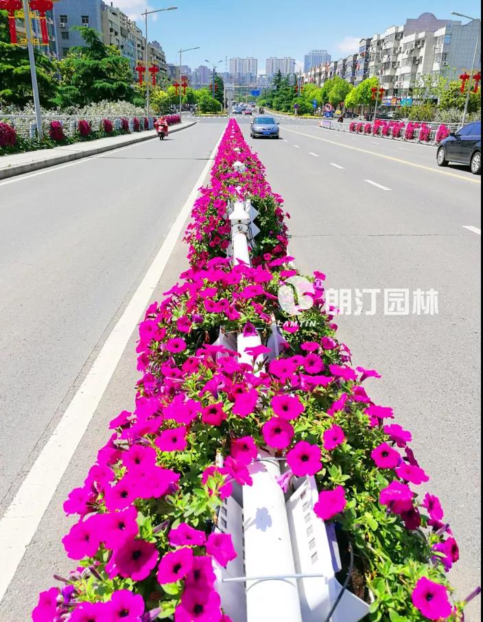 1595842003937968.jpg 1595842003937968.jpg