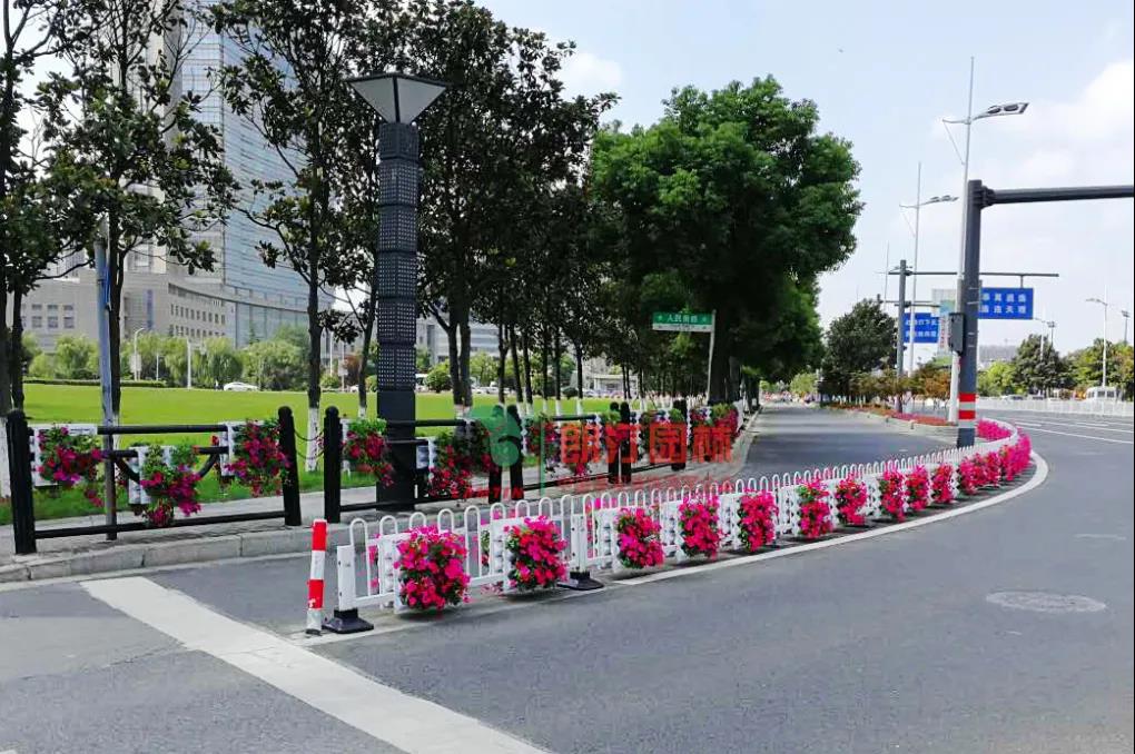 1595842018168003.jpg 1595842018168003.jpg