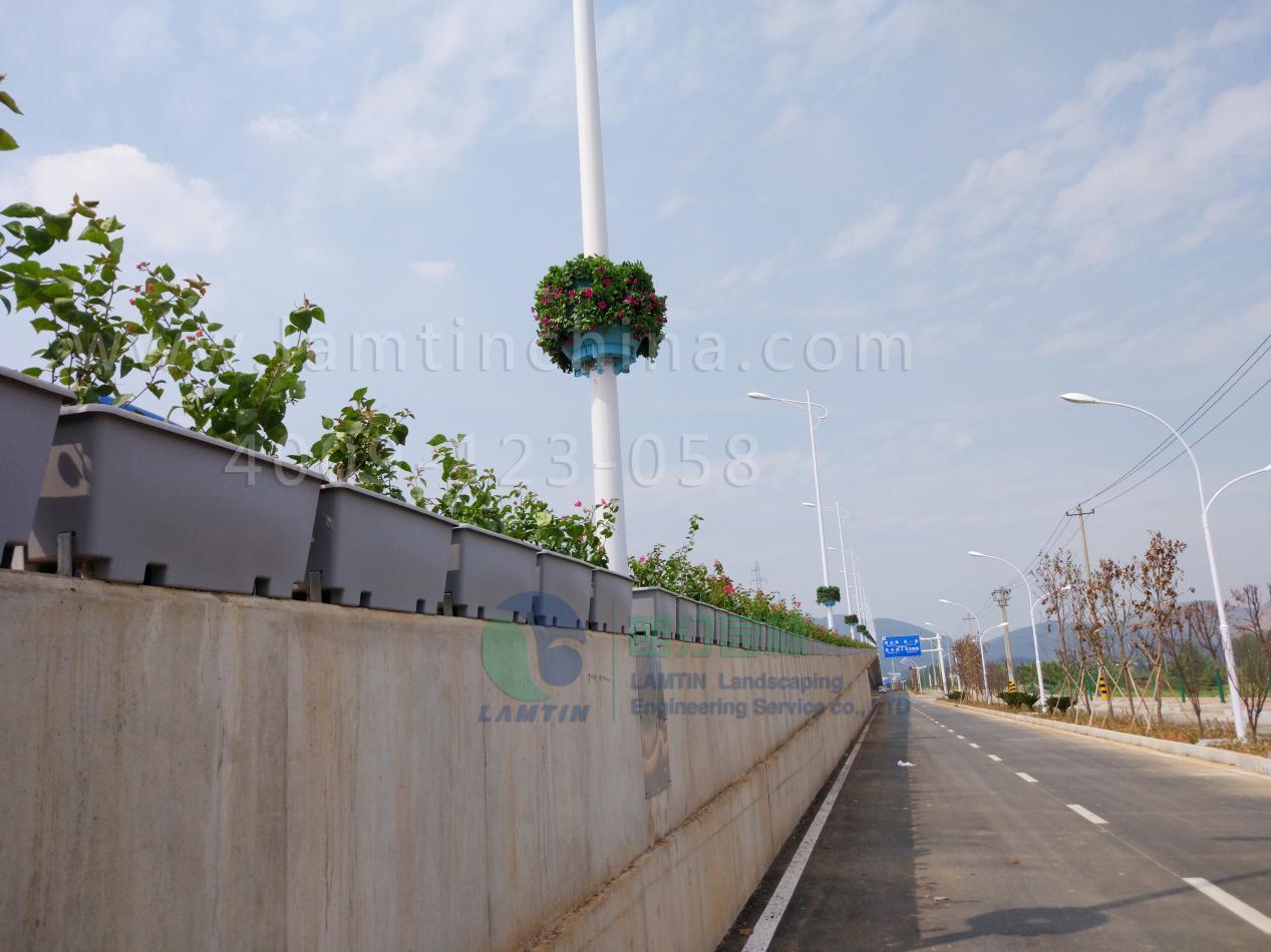 1596100169950659.png 1596100169950659.png