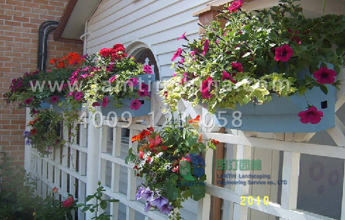 1596440302465651.png 1596440302465651.png