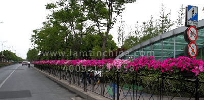 1596595677390261.png 1596595677390261.png