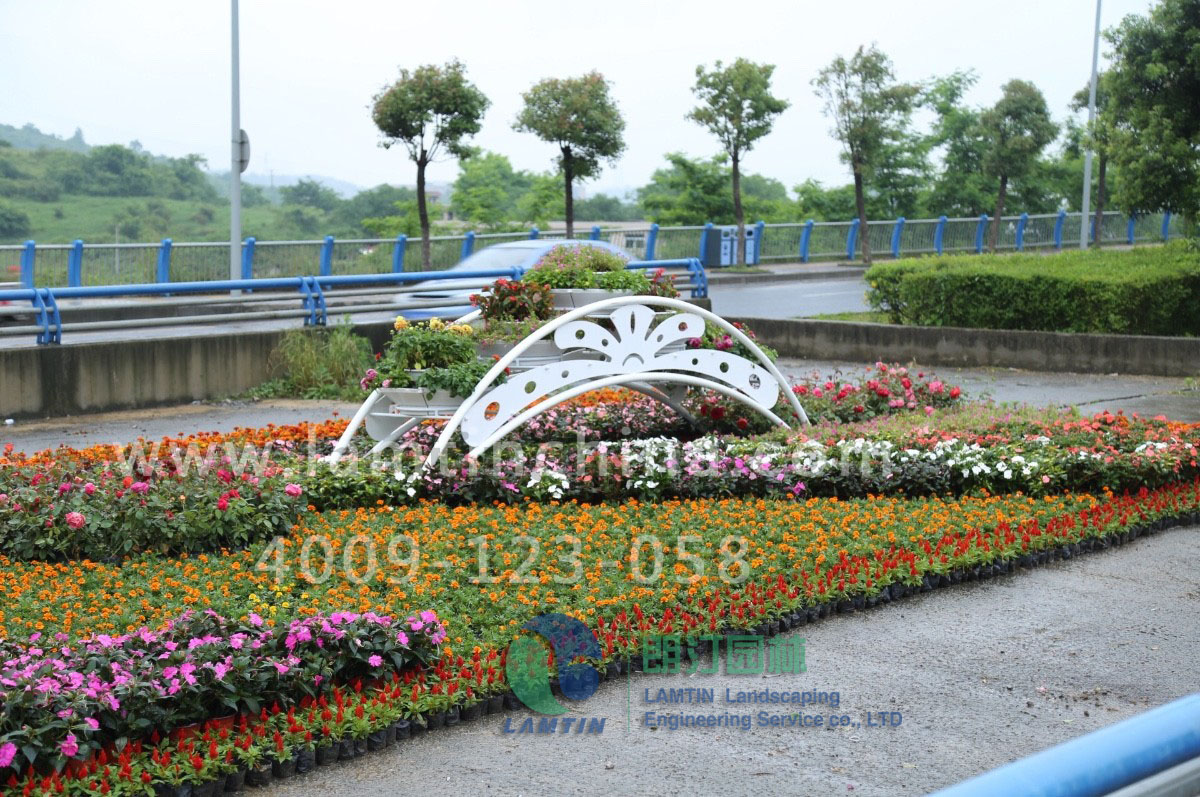 1596727652449771.png 1596727652449771.png