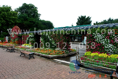 1597112531403406.png 1597112531403406.png