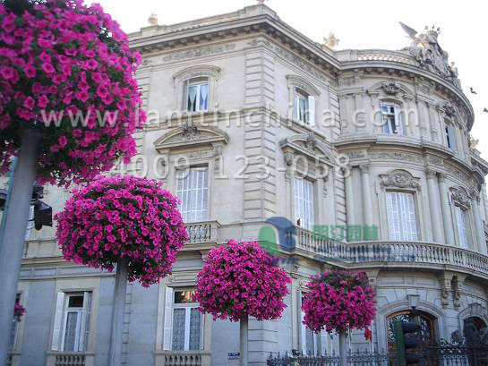 1597310507601030.png 1597310507601030.png