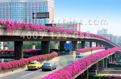 1597397125608013.png 1597397125608013.png