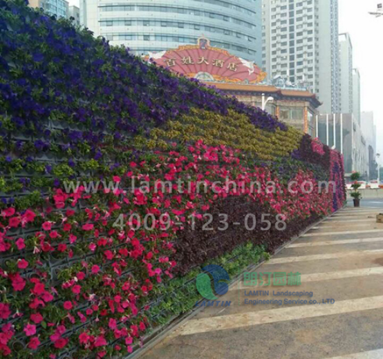 1597890329690401.png 1597890329690401.png