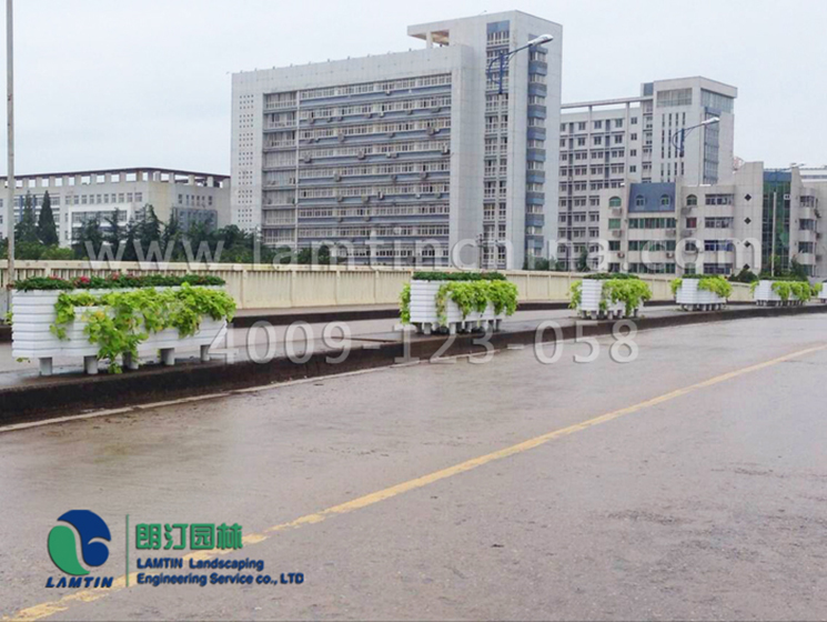 1598325311276641.png 1598325311276641.png