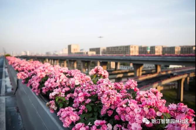 1598842579954814.jpg 微信圖片_20200831105619.jpg