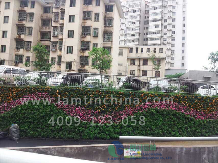 1598842793240882.png 1598842793240882.png