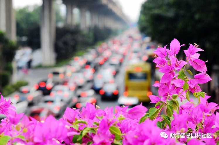 1598843464629221.png 1598843464629221.png