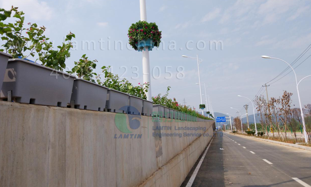 1598930636369867.png 1598930636369867.png