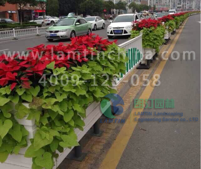 1598931633973329.png 1598931633973329.png