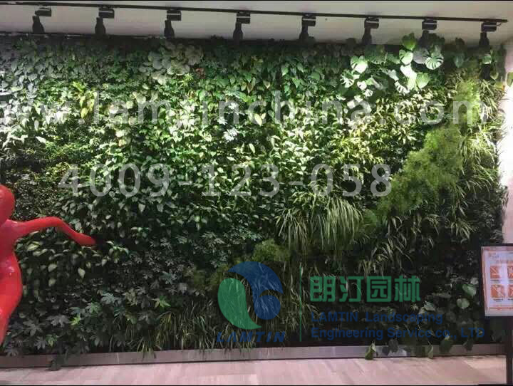 1599546542945755.png 1599546542945755.png