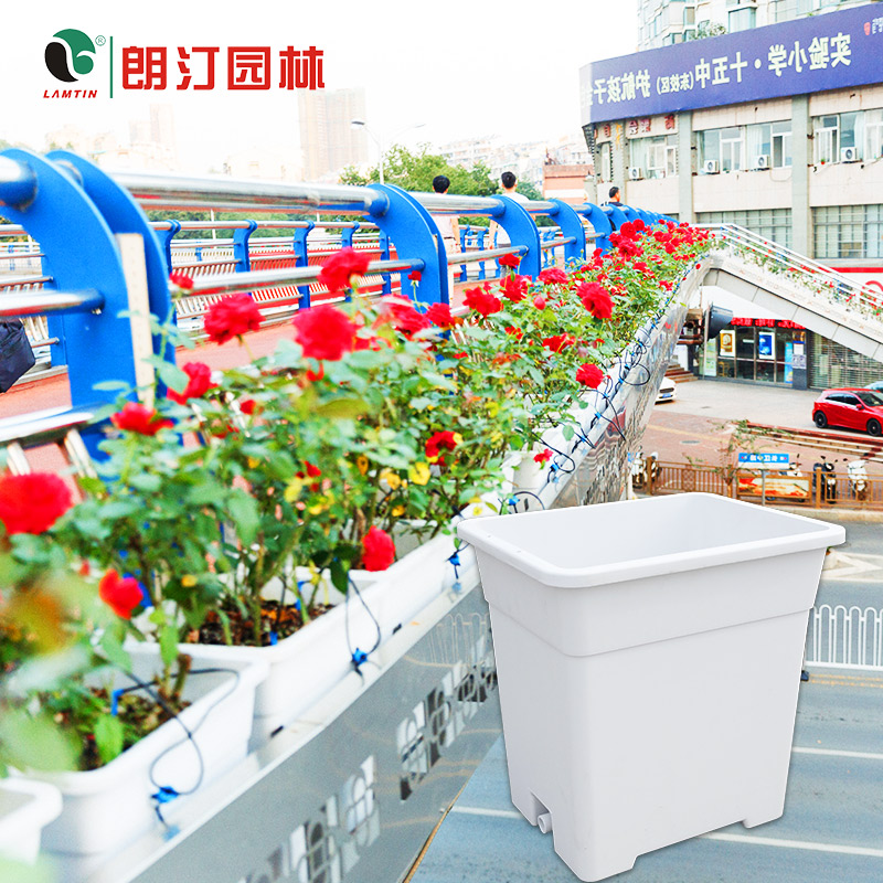 1599619227714160.jpg 1599619227714160.jpg