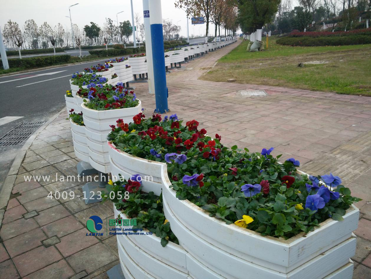 1600313511299746.png 1600313511299746.png