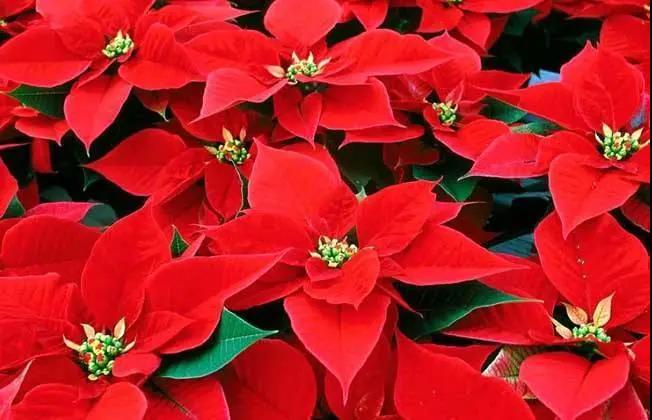 1600657658272188.jpg 1600657658272188.jpg