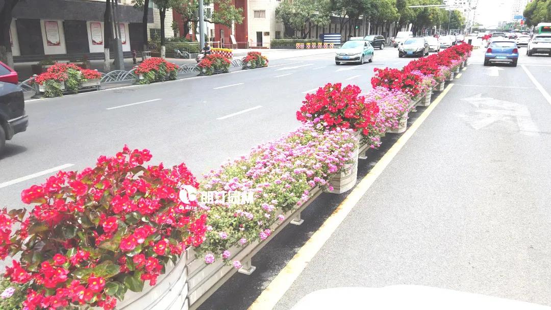 1600657825225179.jpg 1600657825225179.jpg