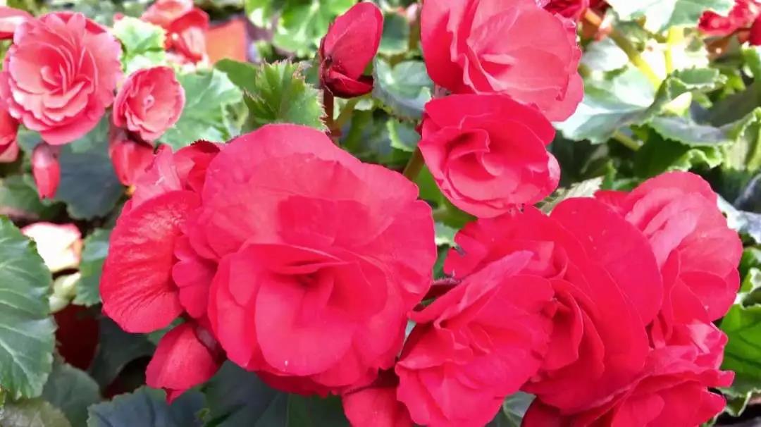 1600657846323836.jpg 1600657846323836.jpg