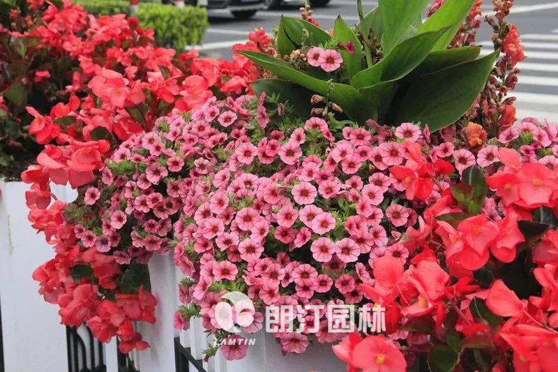 1600657859489540.jpg 1600657859489540.jpg