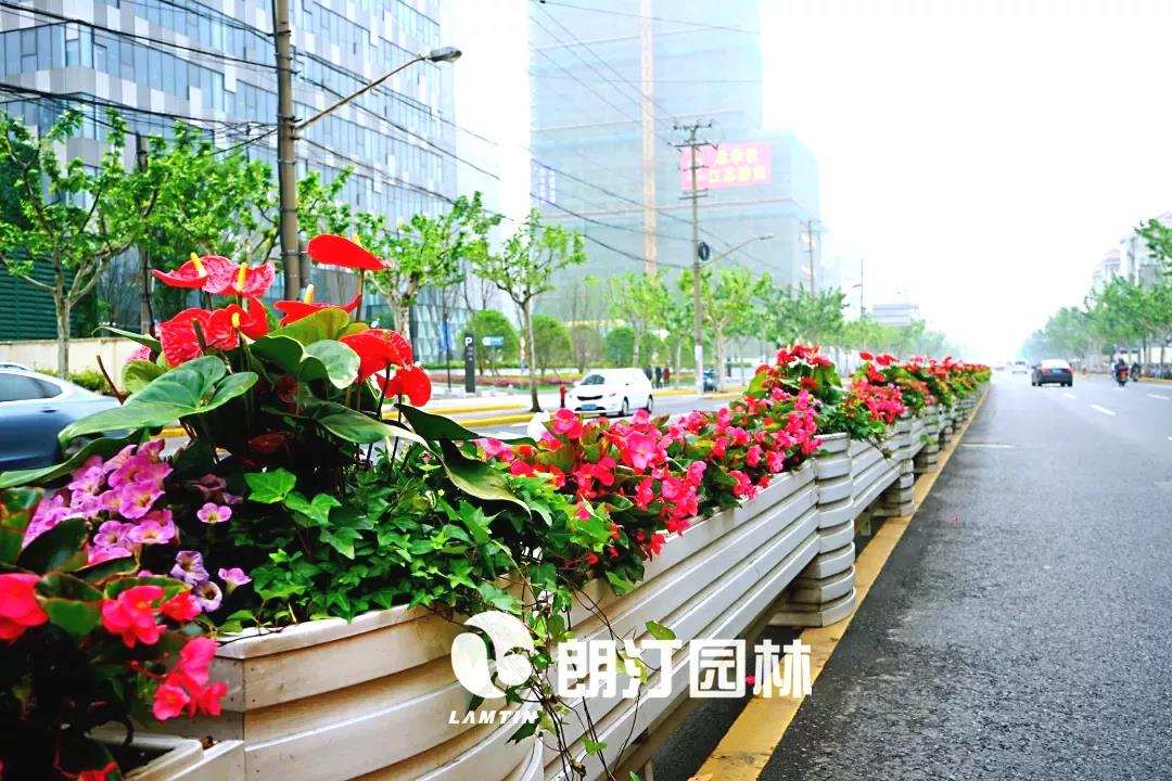 1600657878927466.jpg 1600657878927466.jpg