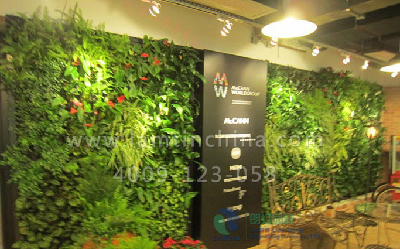 1600743813927540.png 1600743813927540.png