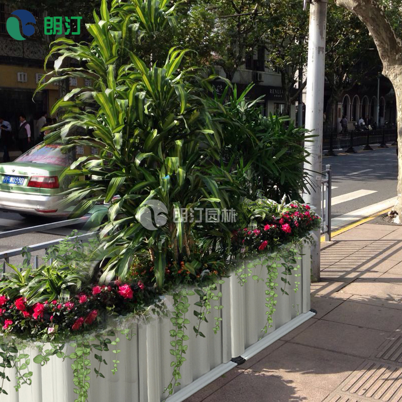 1600830734576591.jpg 主圖-朗汀3.jpg