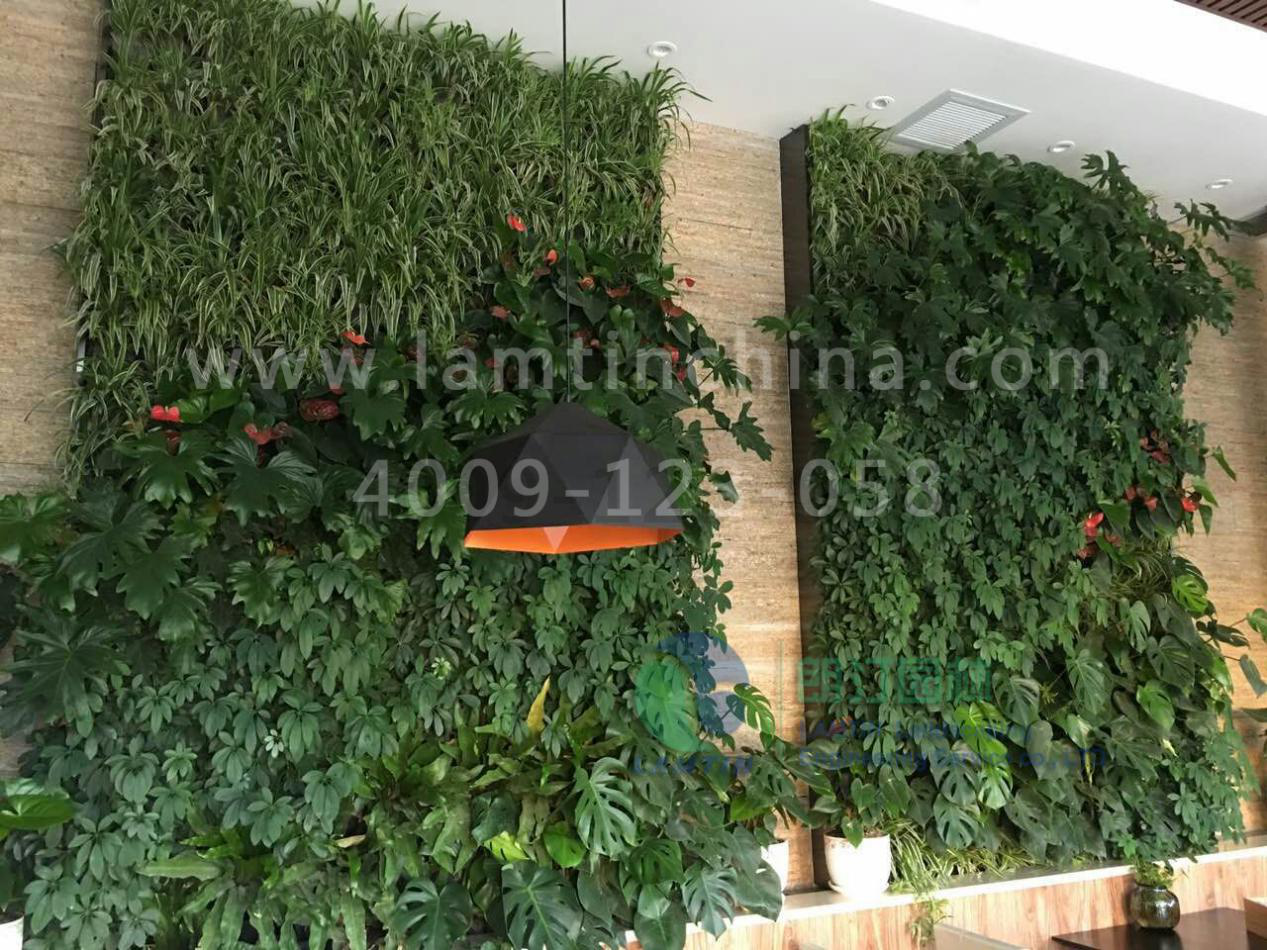 1600833006985726.png 1600833006985726.png