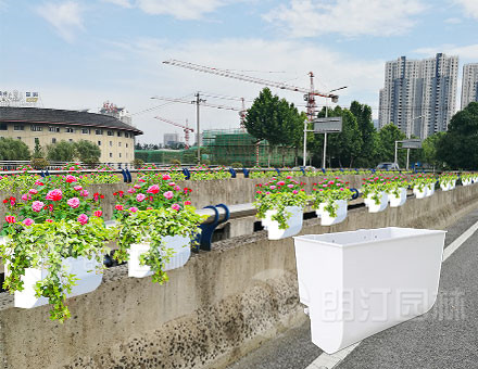 1601278895519702.jpg 1601278895519702.jpg