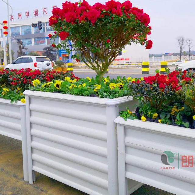 1603165630467877.png 1603165630467877.png