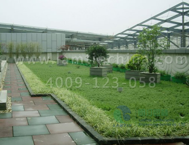 1603353231835799.png 圖片1.png