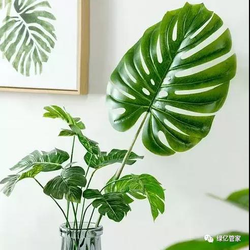 1605235575239066.jpg 1.jpg